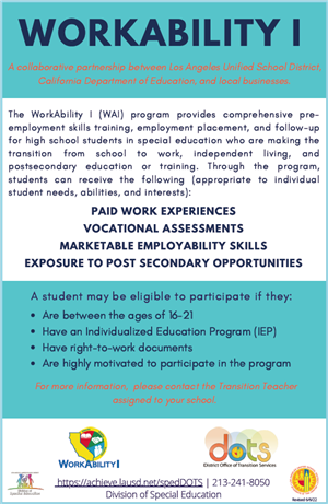 Workability 1 Program flyer English and Spanish